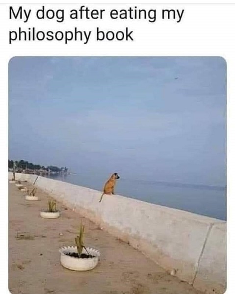 dog ate philosophy book.jpg
